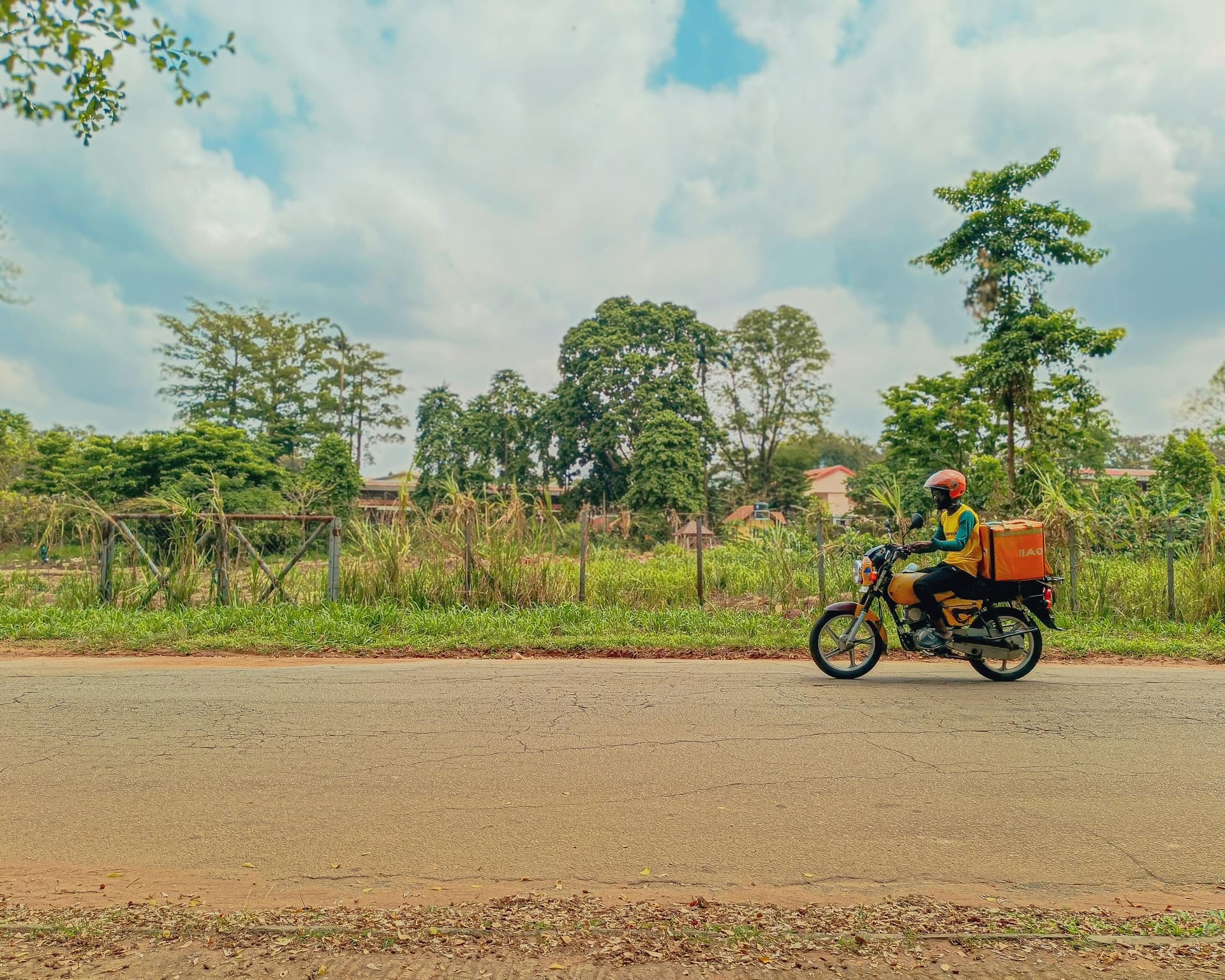 Food Vendor & Restaurant