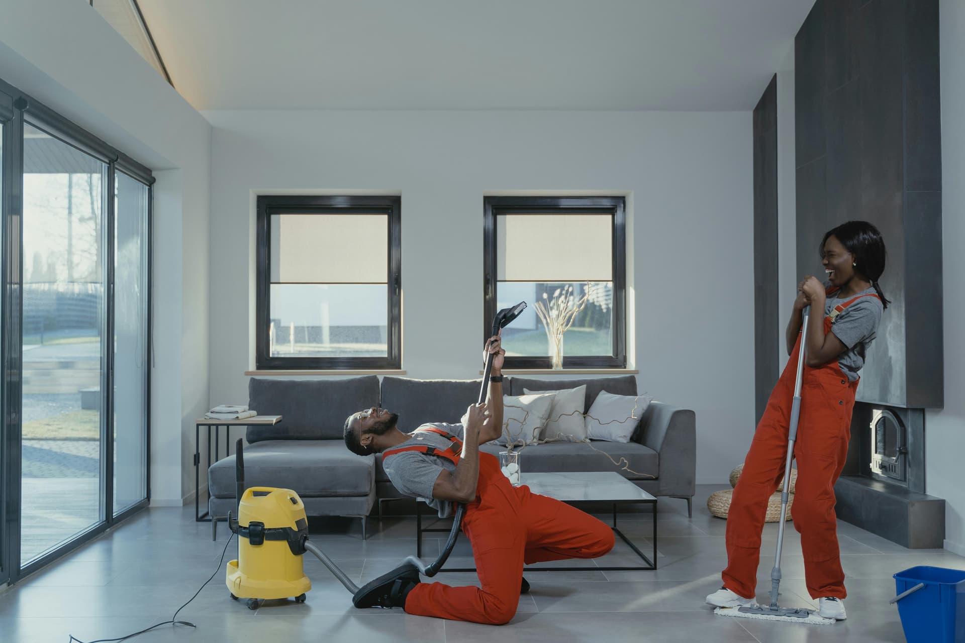 Professional Cleaner